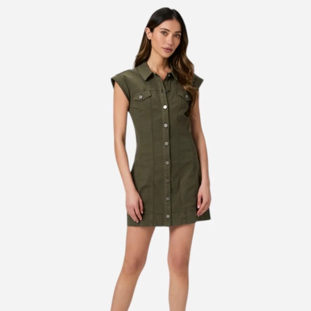 NWT Paige Delkalb Dress